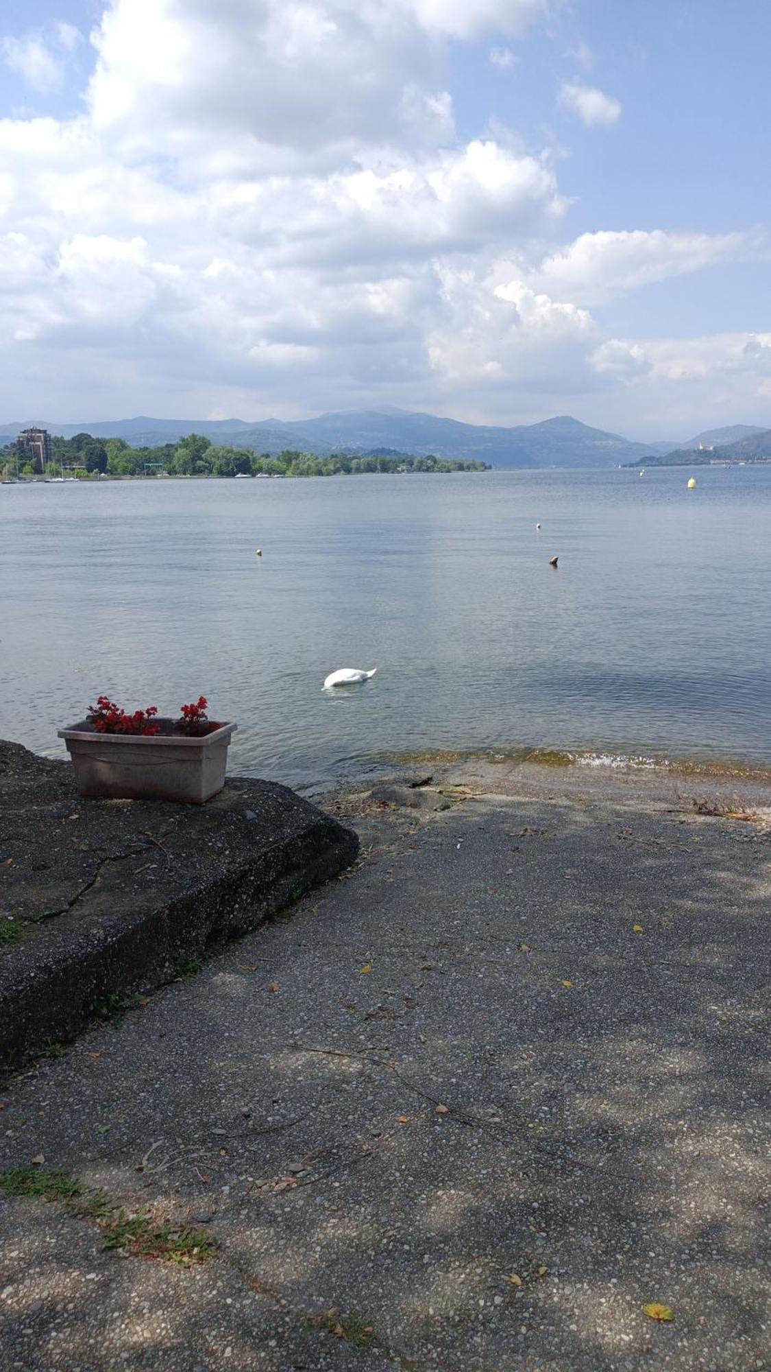 House Benedetta & Gloria On The Lake Castelletto sopra Ticino Eksteriør bilde